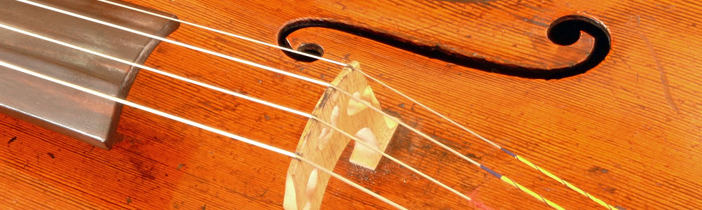 Closeup of a cello f-hole and bridge